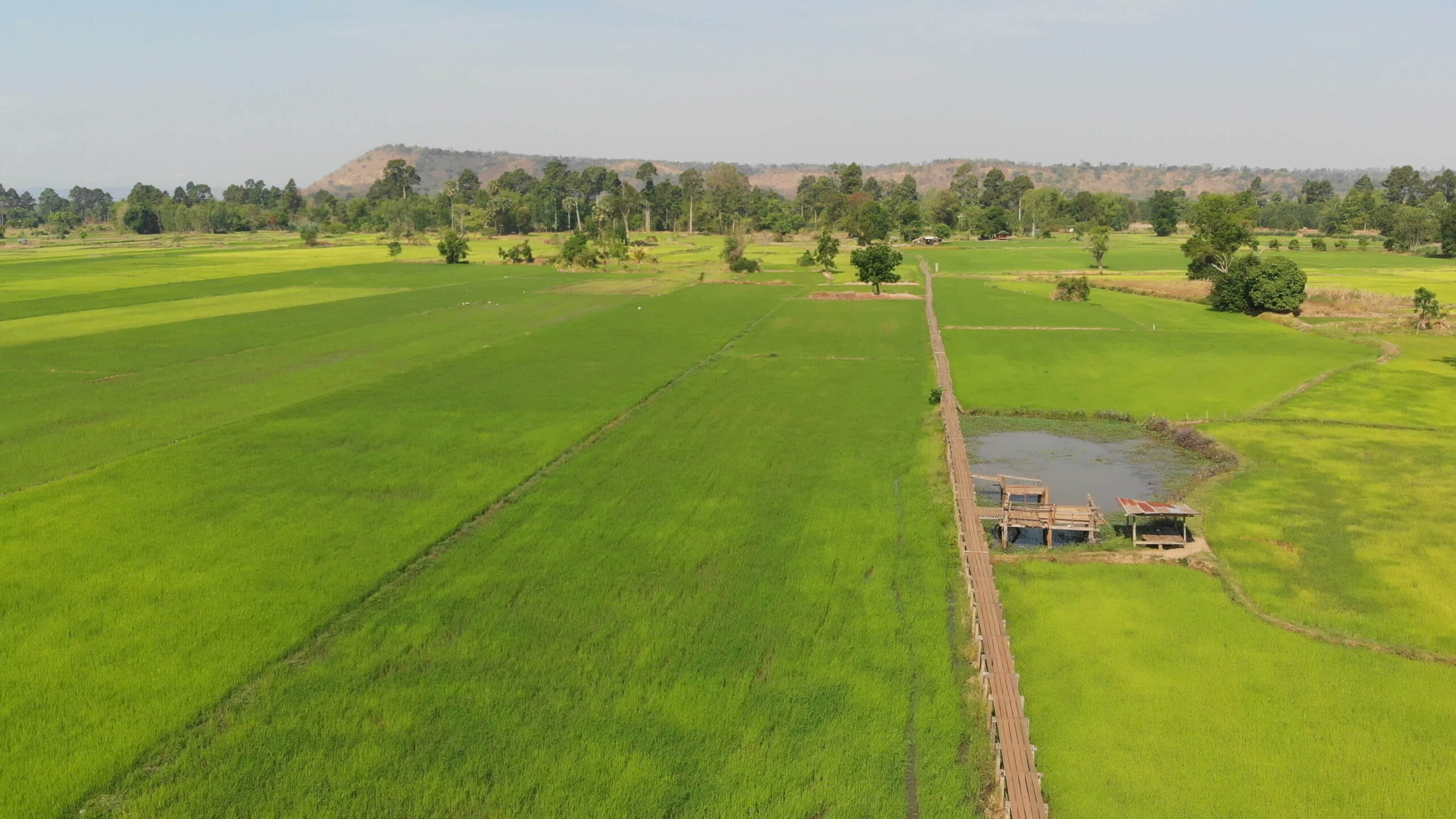 Real Estate Brokers in Namakkal